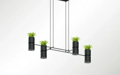Hängeleuchte KUKKIA Schwarz - 4x GU10 / ES111 Fassung - max. 4x40W - exkl. LED's