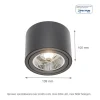 LED Deckenspot AR111 230V – Matt Schwarz - exkl. LED Spot