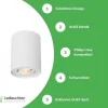 LED Deckenspot - Röhre rund - Weiß - mit GU10 Fassung - schwenkbar - exkl. LED Spot