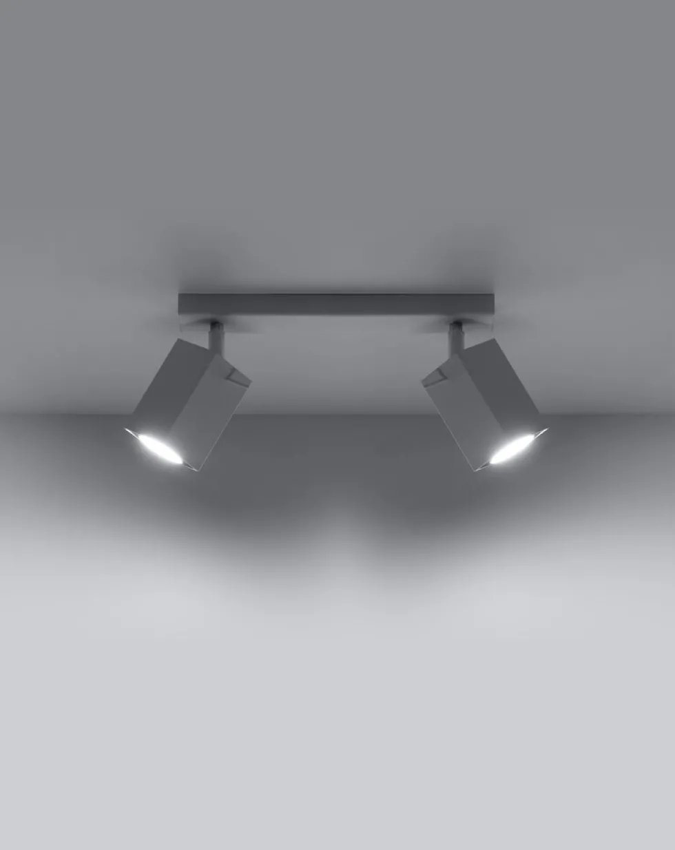 LED Deckenspot Weiß MERIDA - 2 x GU10 Fassung - exkl. LED's