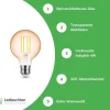 LED Fadenlampe E27 - G80 - 4W entspricht 33W - 1800K extra Warmweiß - Globe