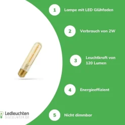 LED Fadenlampe E27 - T30 - 2W entspricht 25W - 2500K extra Warmweiß