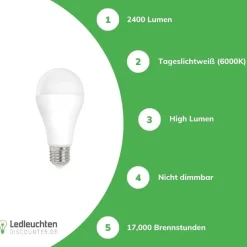 LED Lampe E27 – 20W High Lumen – 6000K Tageslichtweiß – 2400lm