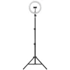 Ledvance - Dimmbare LED-Stehleuchte mit Gestell und Halterung für Vlogging LED/6W/USB 3000/4000/6500K