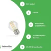 3-pack LED Fadenlampe G45 - E27 Sockel - 1W Filament - 3000K Warmweiß
