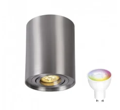 WLAN LED Deckenspot schwenkbar - Röhre Aluminium - per App steuerbar