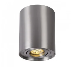 WLAN LED Deckenspot schwenkbar - Röhre Aluminium - per App steuerbar